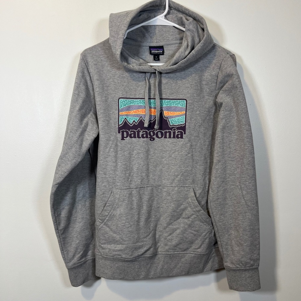 Patagonia Mens Fitz Roy Horizons Hoodie Sweatshirt Grey Gorpcore Medium